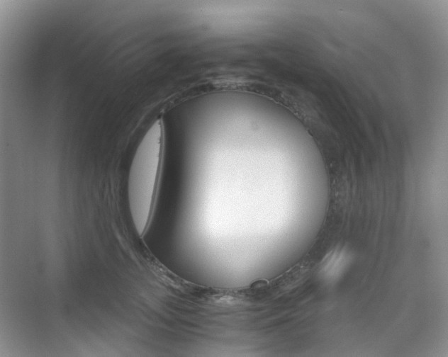 X0000076030755200609220852
