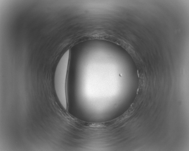 X0000076030762200609220852