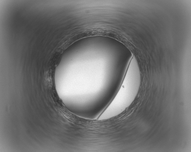 X0000076030771200609220852