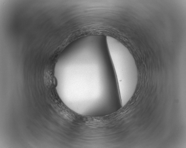 X0000076030772200609220852