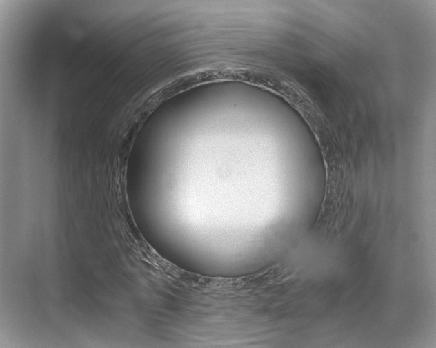 X0000076030773200609220852
