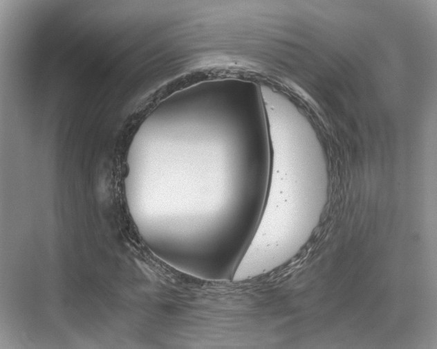 X0000076030775200609220852