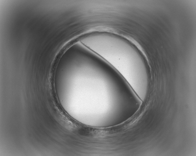X0000076030783200609220851