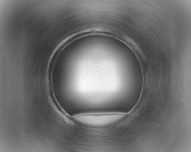 X0000076030784200609220851