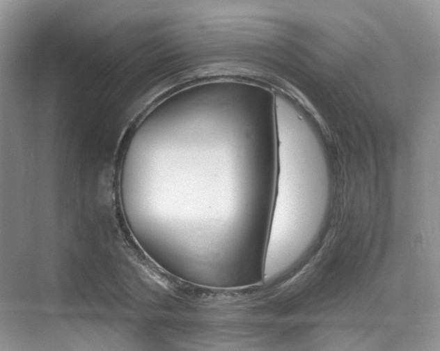 X0000076030786200609220851