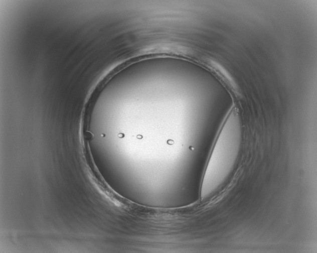 X0000076030788200609220851