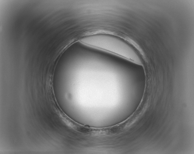 X0000076030793200609220851