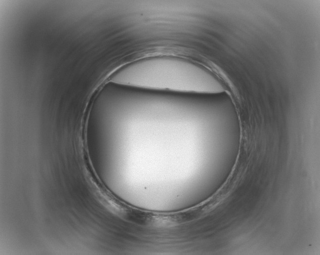 X0000076030794200609220851