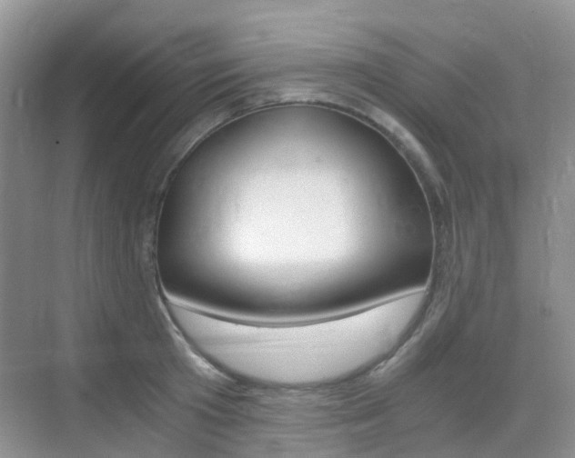 X0000076030801200609220851