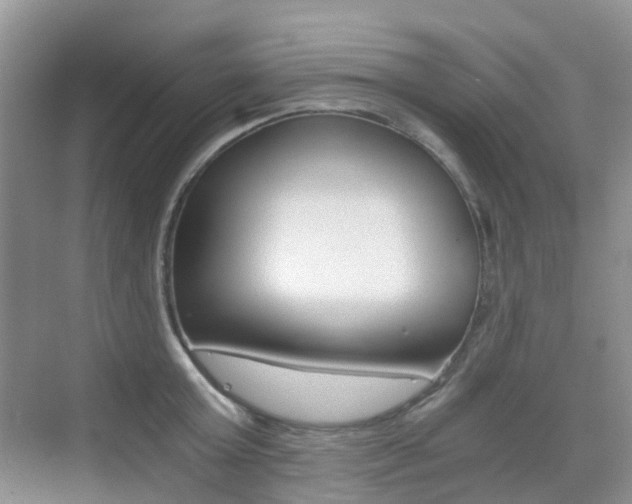 X0000076030803200609220851