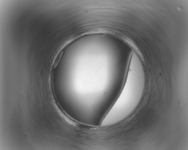 X0000076030805200609220851