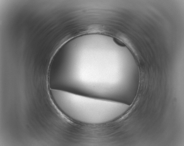 X0000076030810200609220851