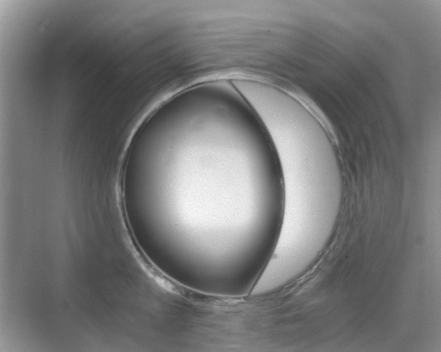X0000076030813200609220851