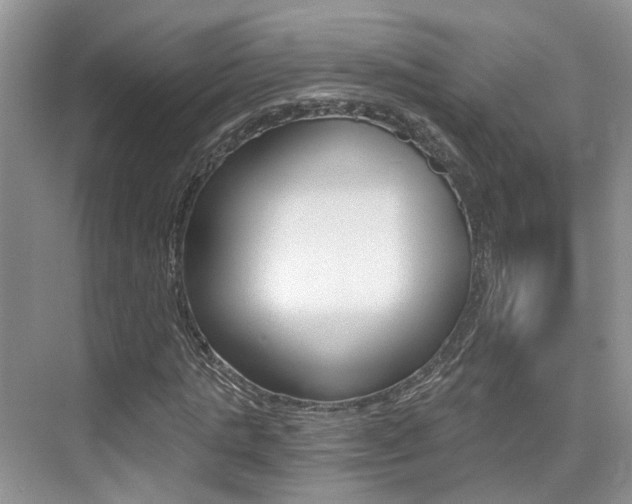 X0000076030821200609220850