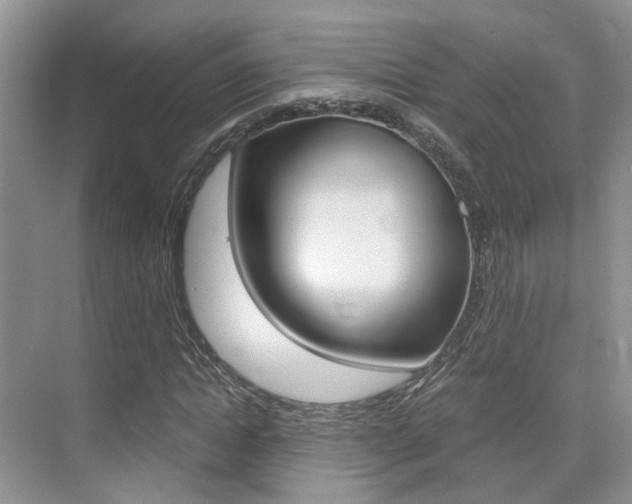 X0000076030822200609220850