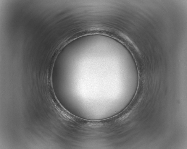 X0000076030825200609220850