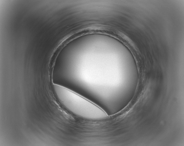 X0000076030829200609220850