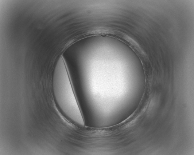 X0000076030841200609220851