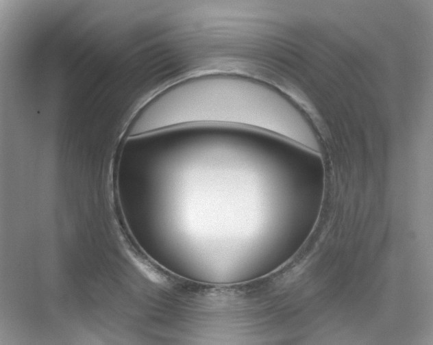 X0000076030842200609220851