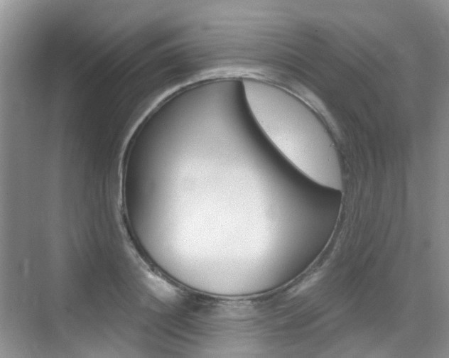 X0000076030844200609220851