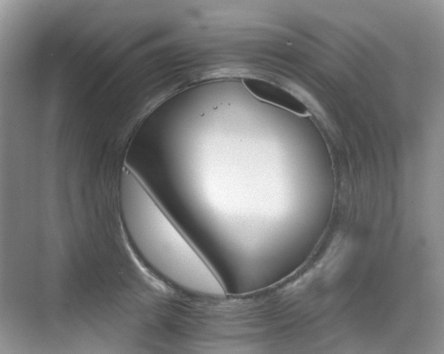 X0000076030849200609220851