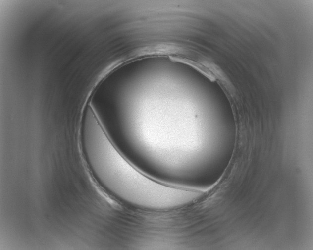 X0000076030850200609220851