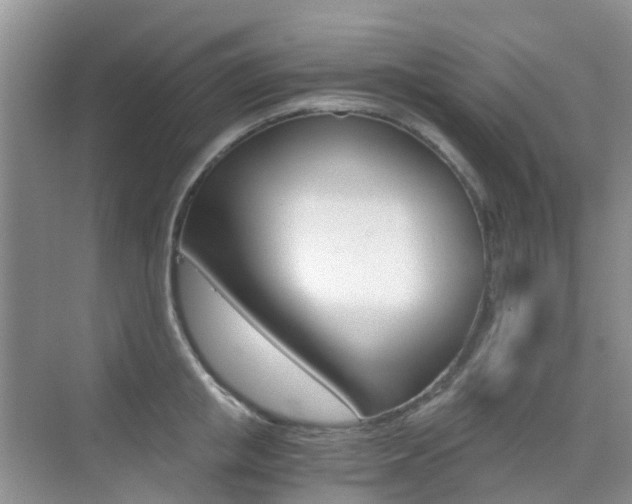 X0000076030853200609220851