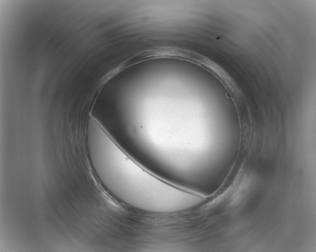 X0000076030857200609220851