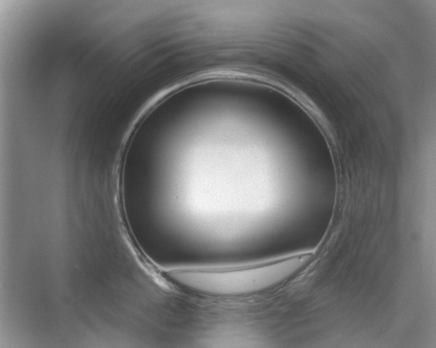 X0000076030862200609220851