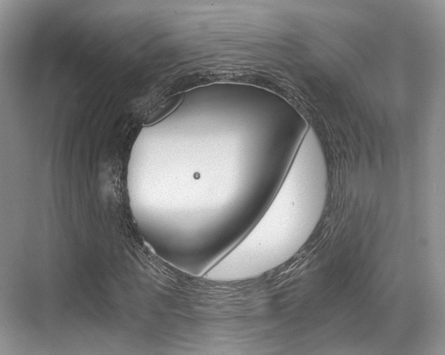 X0000076030867200609220850