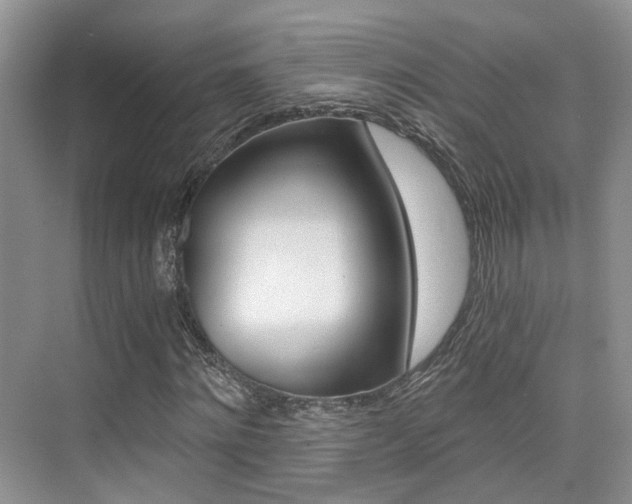 X0000076030868200609220850