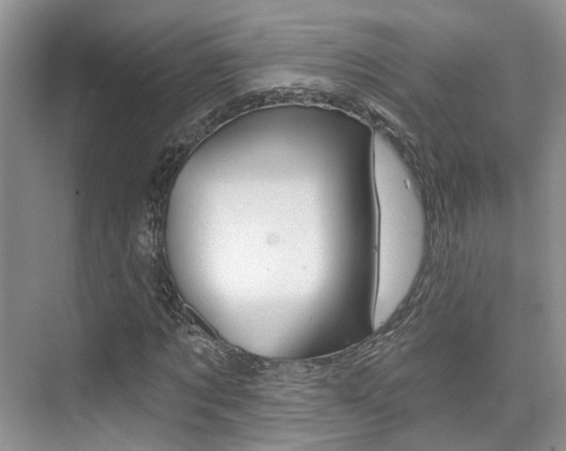 X0000076030869200609220850
