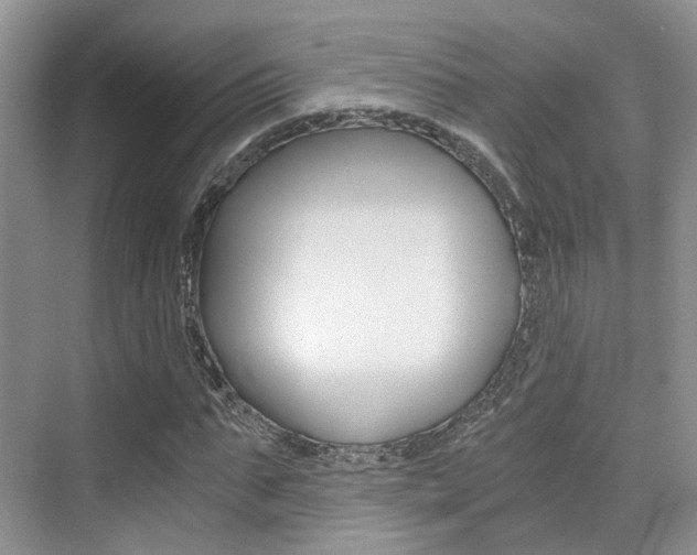X0000076030871200609220850