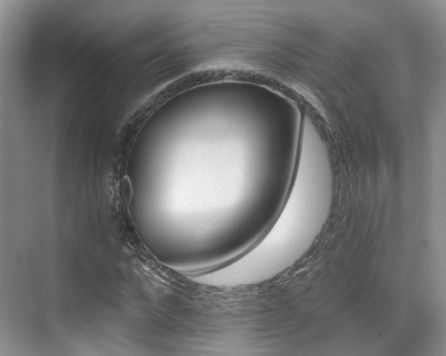 X0000076030872200609220850