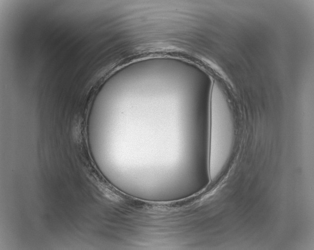 X0000076030873200609220850