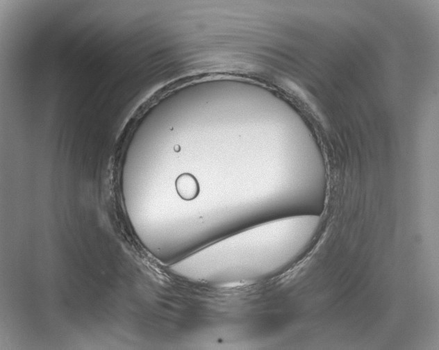 X0000076030875200609220850