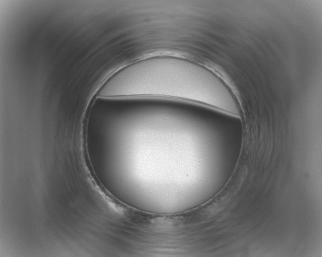 X0000076030898200609220850