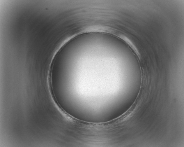 X0000076030901200609220849