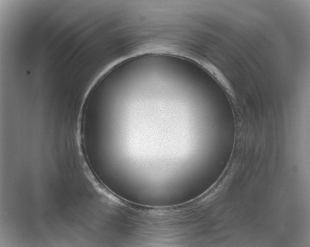 X0000076030904200609220849