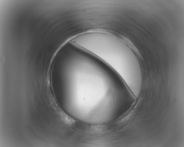 X0000076030908200609220849