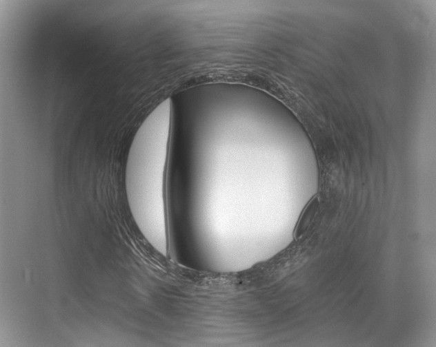 X0000076030914200609220849