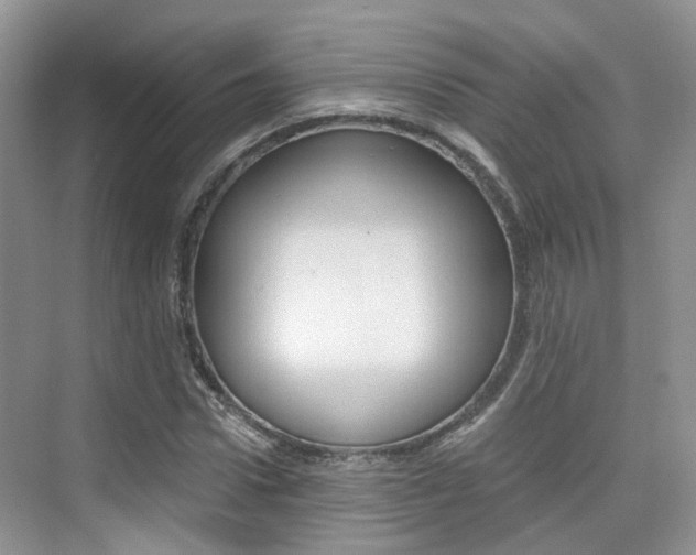 X0000076030922200609220849