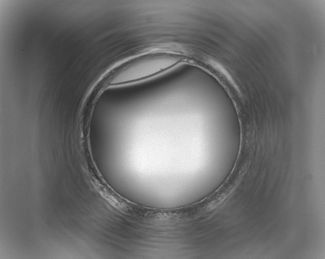 X0000076030923200609220849