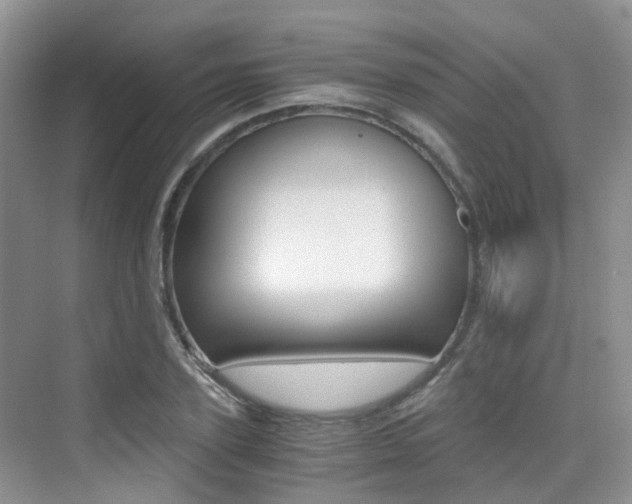 X0000076030931200609220849