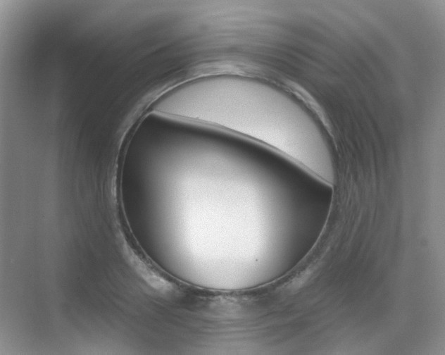 X0000076030938200609220849