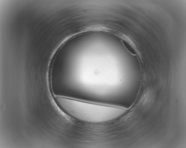 X0000076030947200609220849