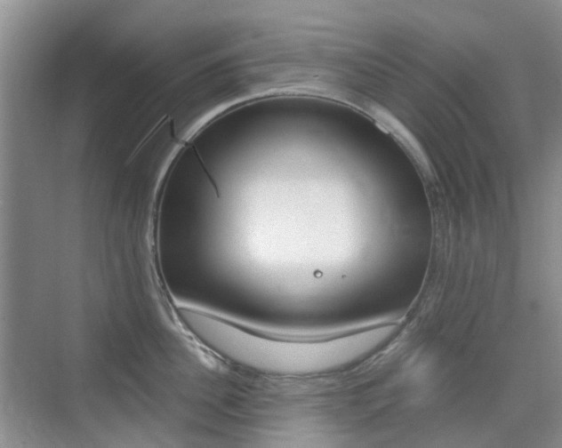 X0000076030956200609220849