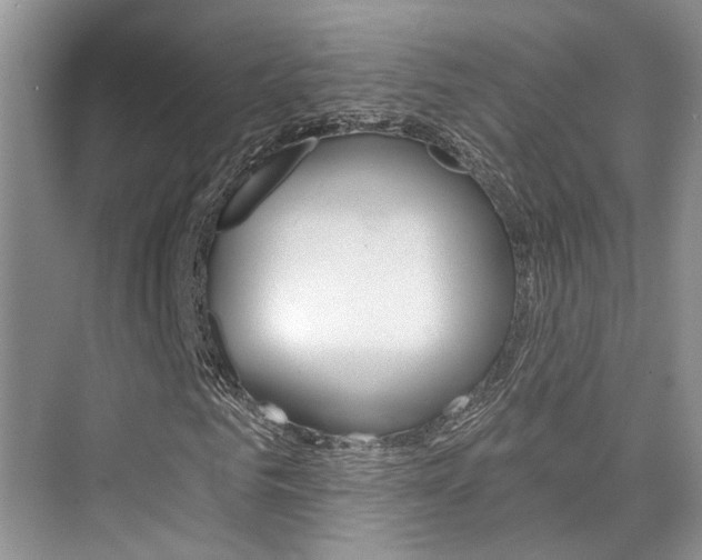 X0000076030961200609220848