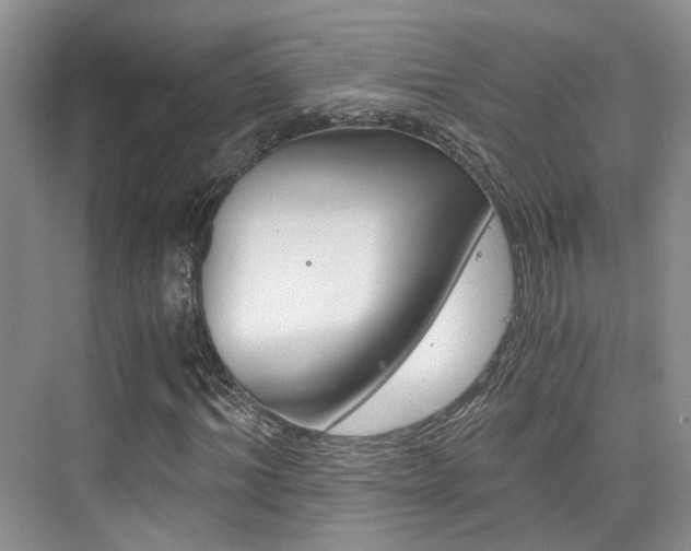 X0000076030964200609220848