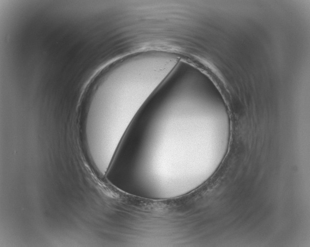 X0000076030971200609220848